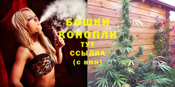 спиды Костерёво
