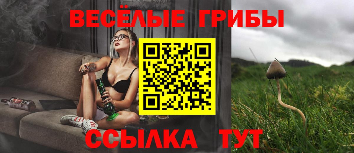 Псилоцибиновые грибы Psilocybe Брянск