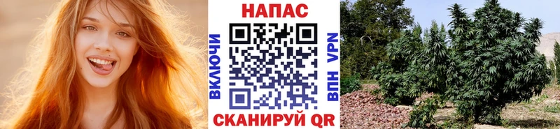 Марихуана OG Kush  kraken зеркало  Брянск 